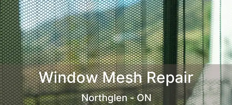  Window Mesh Repair Northglen - ON