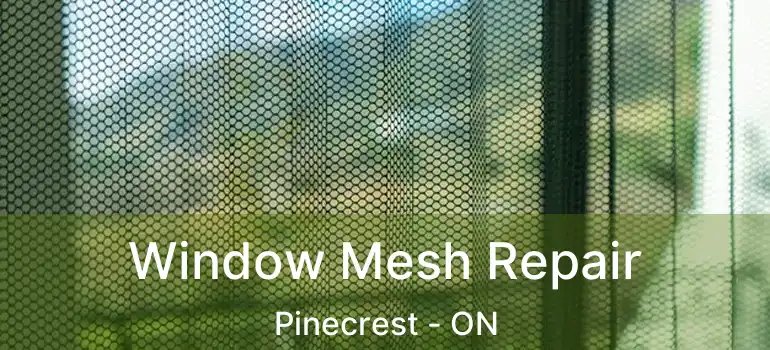  Window Mesh Repair Pinecrest - ON