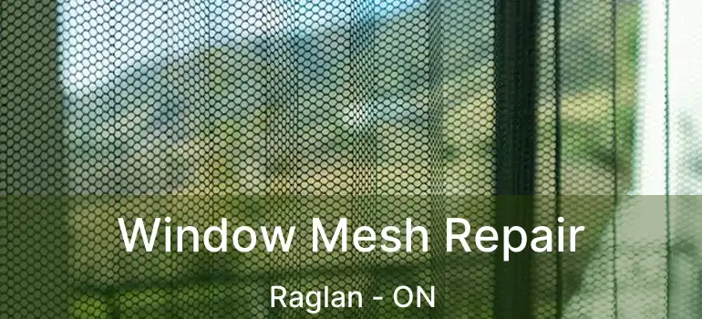 Window Mesh Repair Raglan - ON