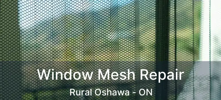  Window Mesh Repair Rural Oshawa - ON