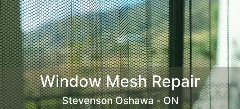  Window Mesh Repair Stevenson Oshawa - ON