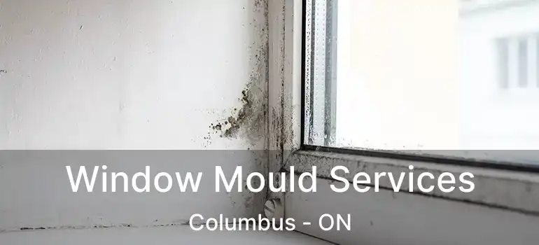  Window Mould Services Columbus - ON