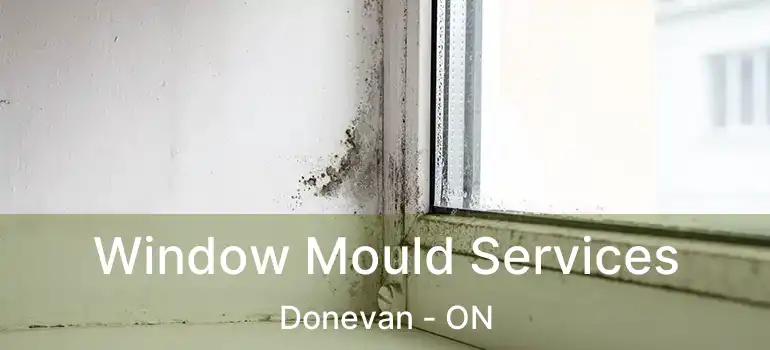 Window Mould Services Donevan - ON