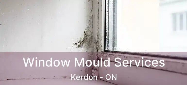Window Mould Services Kerdon - ON