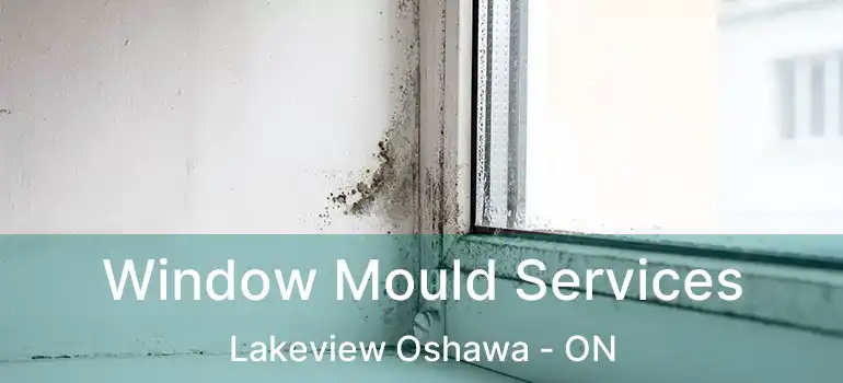  Window Mould Services Lakeview Oshawa - ON