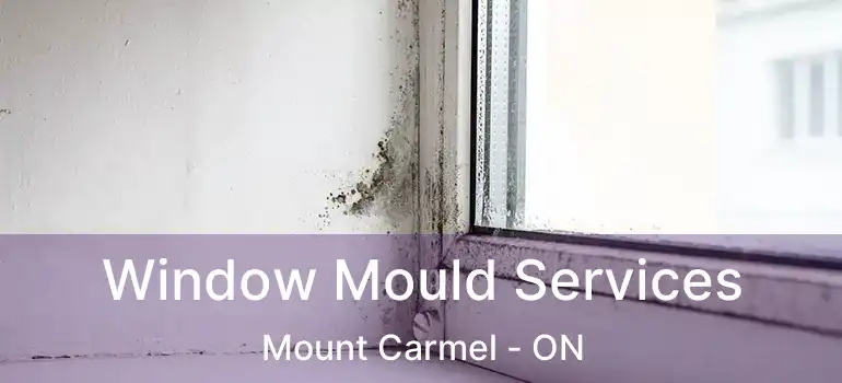 Window Mould Services Mount Carmel - ON
