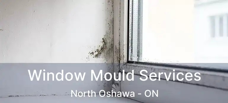  Window Mould Services North Oshawa - ON
