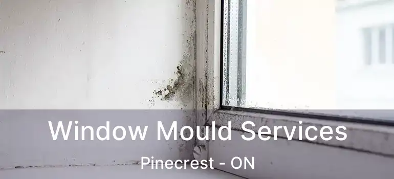 Window Mould Services Pinecrest - ON