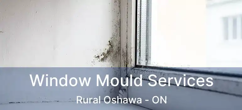  Window Mould Services Rural Oshawa - ON
