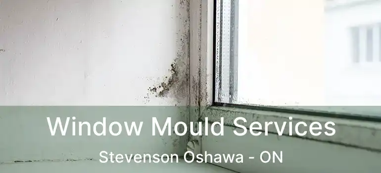  Window Mould Services Stevenson Oshawa - ON