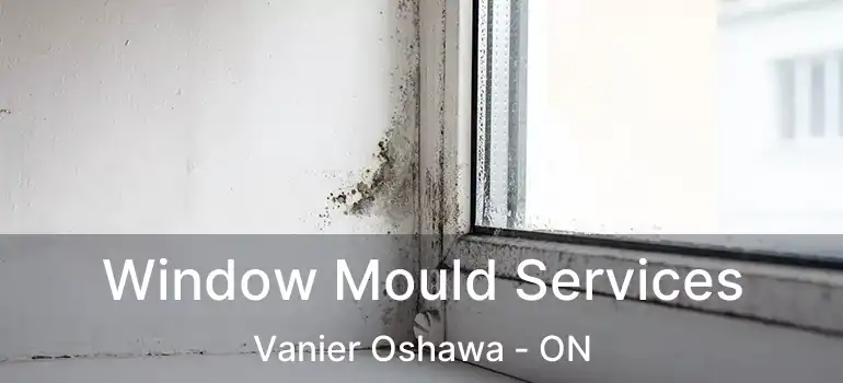  Window Mould Services Vanier Oshawa - ON