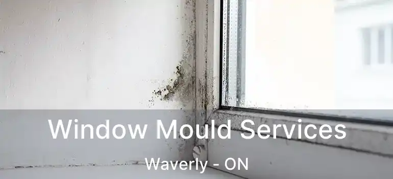  Window Mould Services Waverly - ON