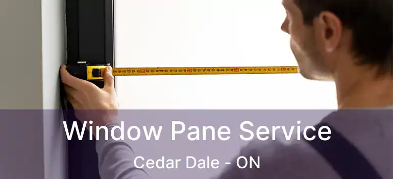  Window Pane Service Cedar Dale - ON