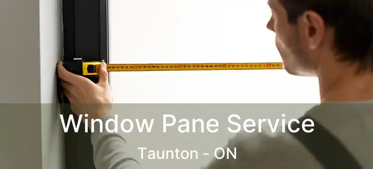  Window Pane Service Taunton - ON
