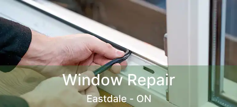 Window Repair Eastdale - ON