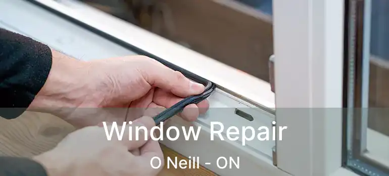  Window Repair O Neill - ON