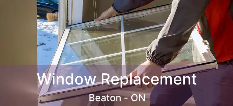 Window Replacement Beaton - ON