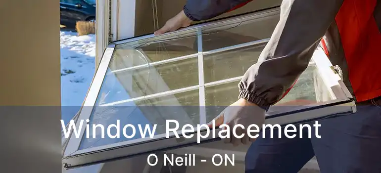 Window Replacement O Neill - ON