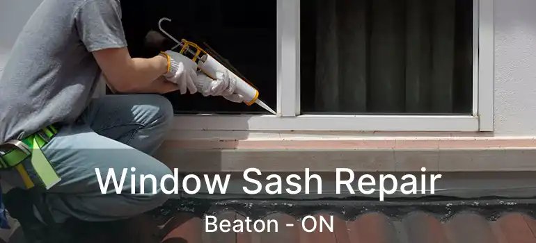 Window Sash Repair Beaton - ON