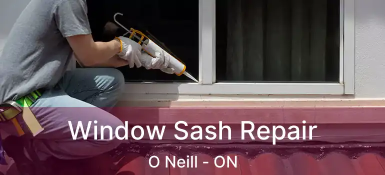  Window Sash Repair O Neill - ON