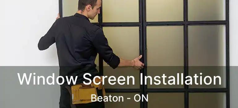 Window Screen Installation Beaton - ON