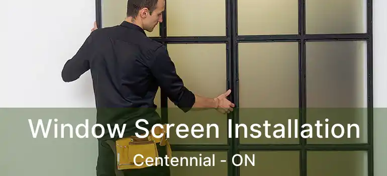  Window Screen Installation Centennial - ON