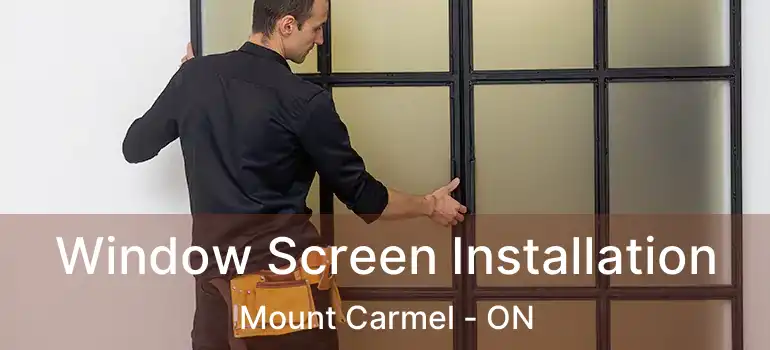 Window Screen Installation Mount Carmel - ON