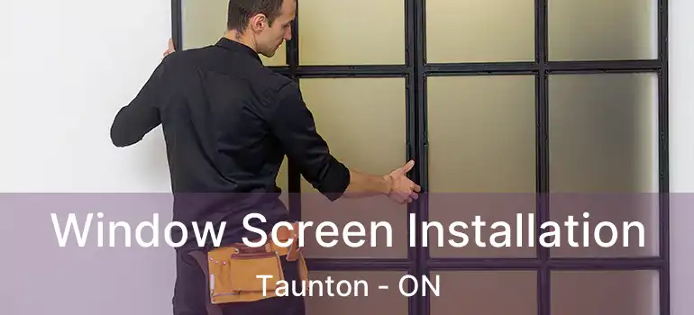 Window Screen Installation Taunton - ON