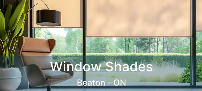  Window Shades Beaton - ON