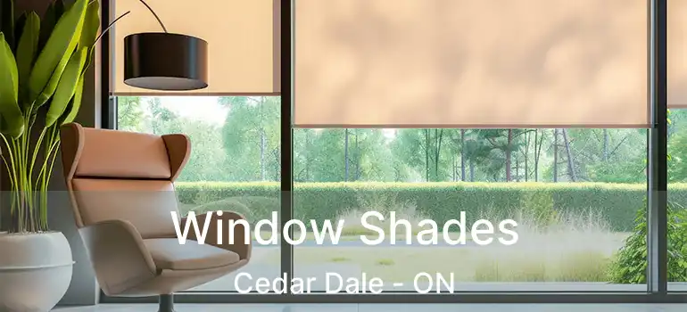  Window Shades Cedar Dale - ON