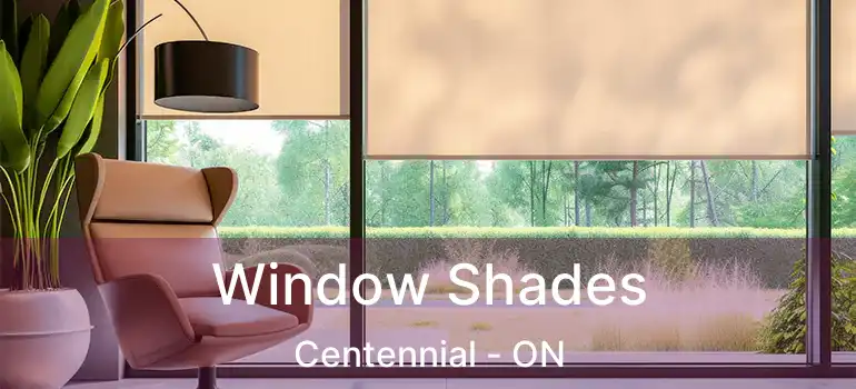 Window Shades Centennial - ON