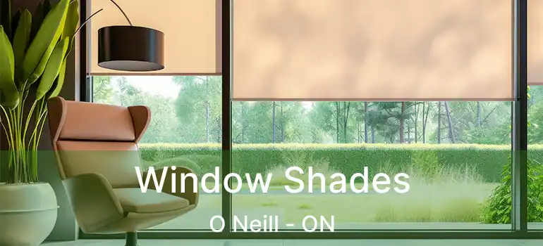  Window Shades O Neill - ON