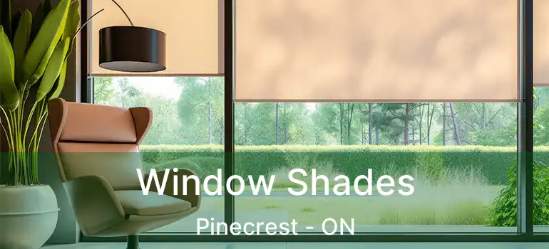 Window Shades Pinecrest - ON