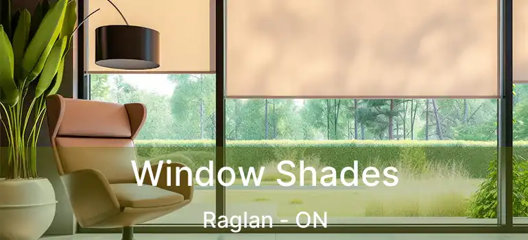  Window Shades Raglan - ON