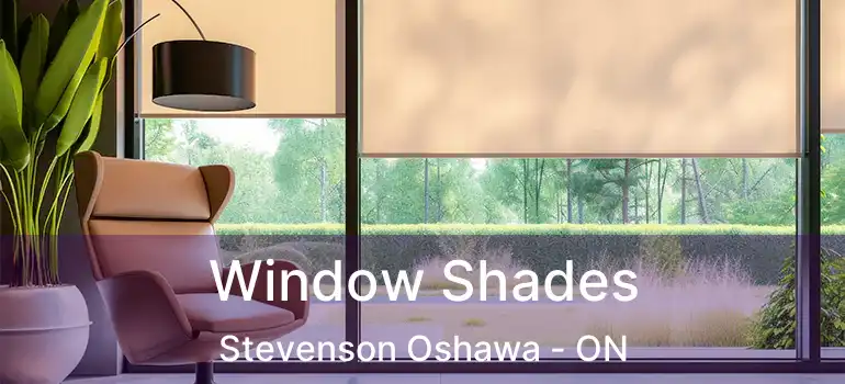  Window Shades Stevenson Oshawa - ON