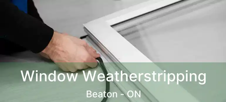  Window Weatherstripping Beaton - ON