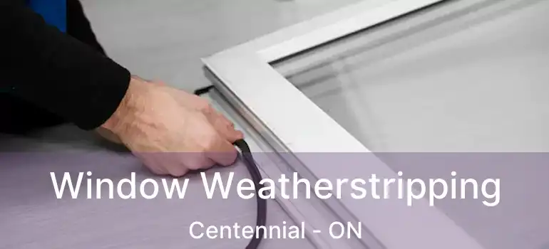  Window Weatherstripping Centennial - ON
