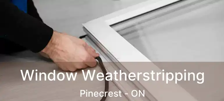  Window Weatherstripping Pinecrest - ON
