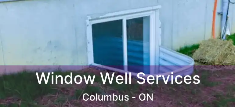 Window Well Services Columbus - ON
