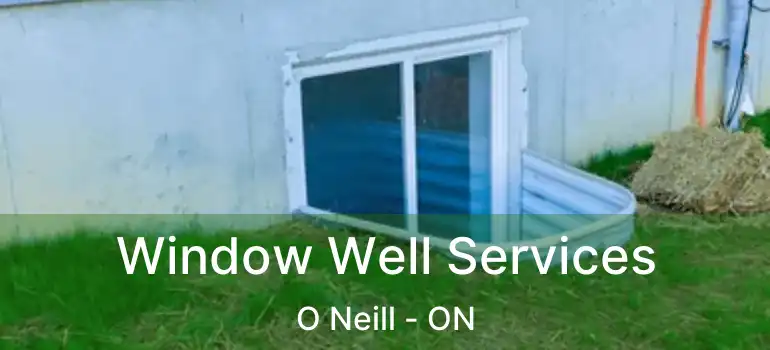  Window Well Services O Neill - ON