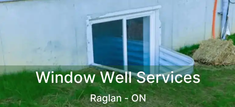 Window Well Services Raglan - ON