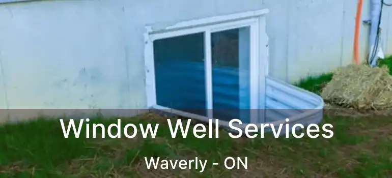 Window Well Services Waverly - ON